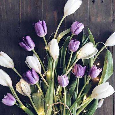 乐宝体育官网登录入口app下载截图